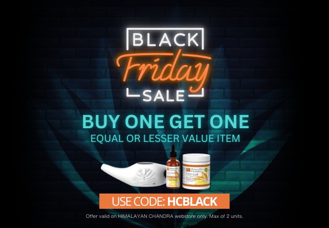 HC BFCM Sale 2024 - Email Banner v4 HC BFCM Sale 2024 - Email Banner v4